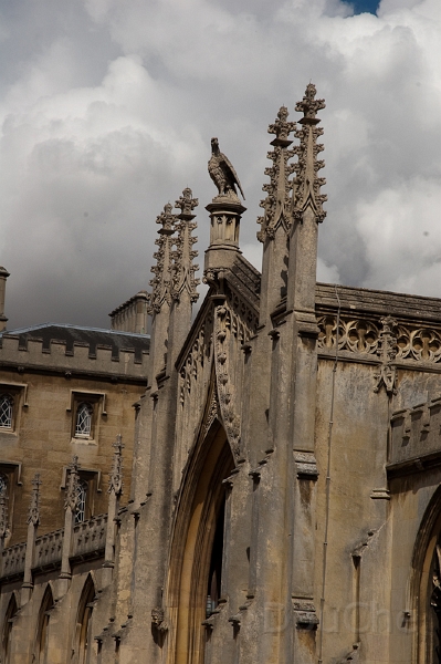 Ed -DSC_0090.jpg